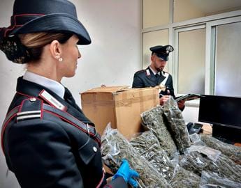 Galleria foto 'Casalinga riceve ‘per errore’ pacco con 10 chili di marijuana e chiama i carabinieri' - foto 1
