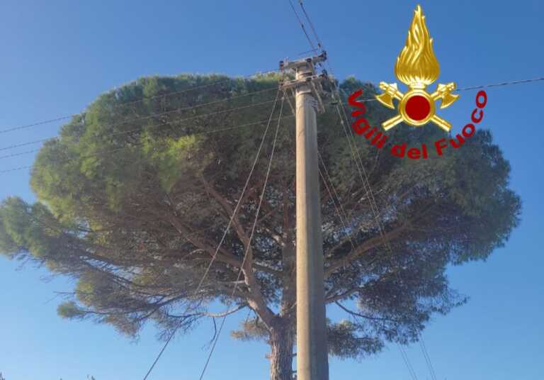 Tricase, tocca i cavi elettrici mentre passeggia con il cane: 50enne finisce in ospedale