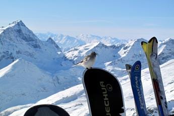 Galleria foto 'Dallo skipass alle lezioni di sci, tutti i rincari della stagione 2023-2024' - foto 1
