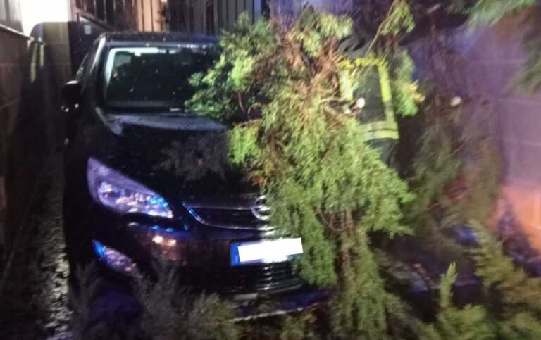 Danni da maltempo nel Salento: a Casarano cadono pali della luce e alberi – FOTO