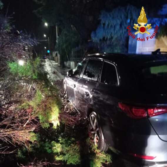 Galleria foto 'Danni da maltempo nel Salento: a Casarano cadono pali della luce e alberi – FOTO' - foto 3