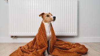Galleria foto 'Energia, si accendono i termosifoni: bolletta del gas più pesante' - foto 1