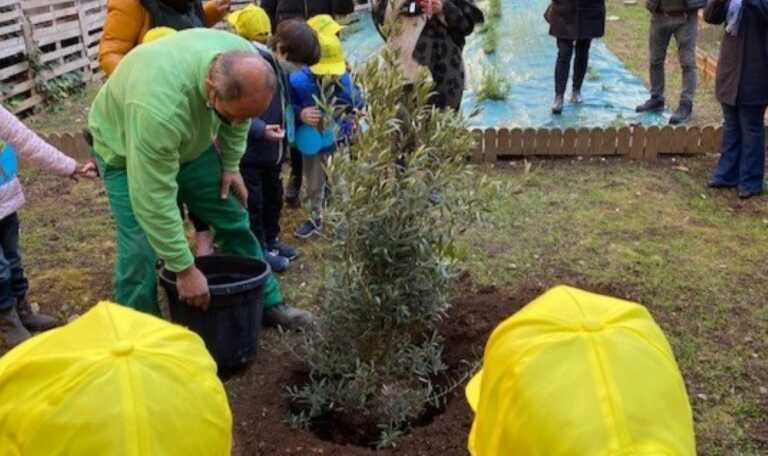Festa dell’albero, Coldiretti: «Sos verde urbano, in Puglia solo 10 mq a testa»