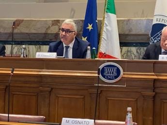 Galleria foto 'Fisco, Cuzzilla (Cida): “Aiutare chi veramente ha bisogno cercando gli evasori”' - foto 1