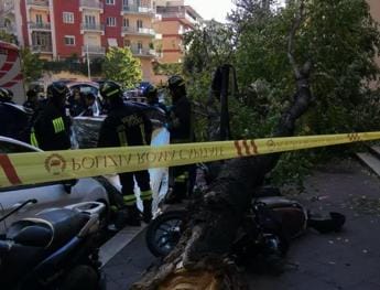 Galleria foto 'Forte vento su Roma, cade albero a Monteverde: morta una donna' - foto 1