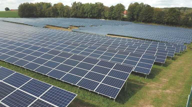 Erbe officinali al riparo del fotovoltaico: lo studio nelle campagne del foggiano