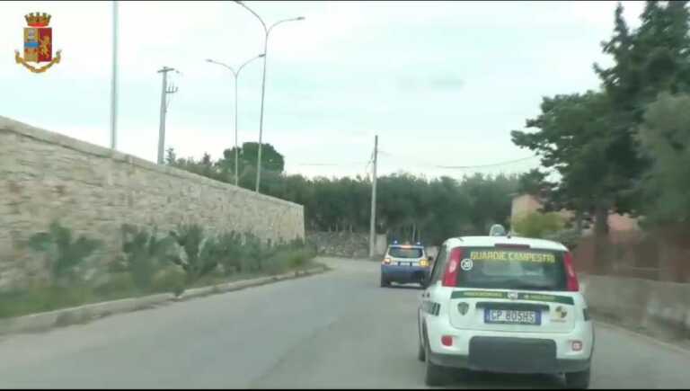 Ladri di olive nelle campagne andriesi: recuperati 3 quintali, malviventi in fuga – VIDEO