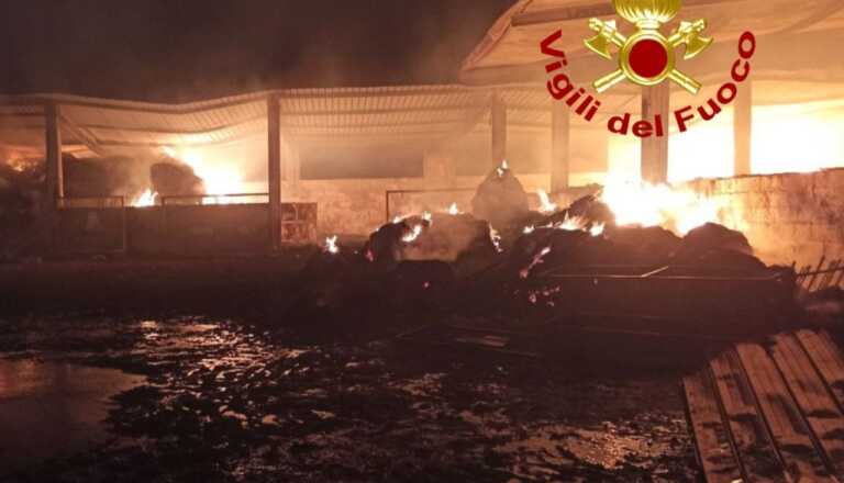 Incendio in un’azienda agricola di Corigliano d’Otranto: è strage di pecore e agnelli – VIDEO