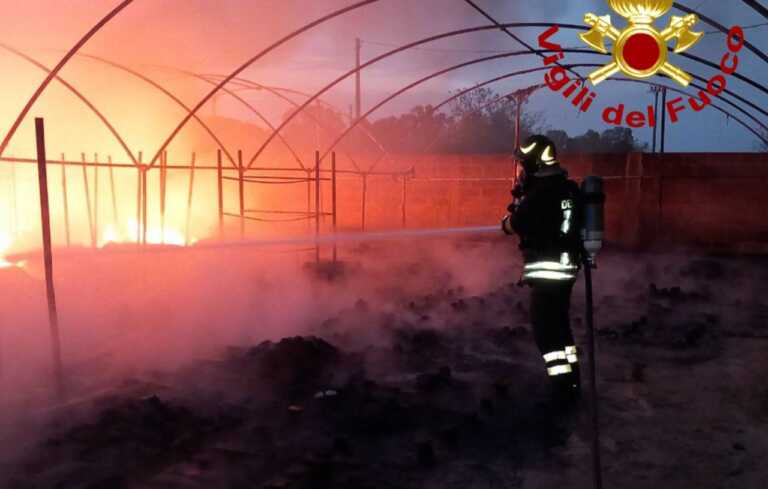 Incendio in un’azienda florovivaistica nel Salento: le fiamme alimentate dal vento – VIDEO