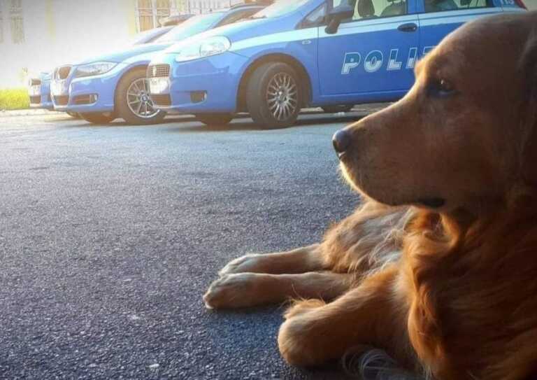 Trani: addio a Kevin, “mascotte” del commissariato. Un albero per ricordarlo