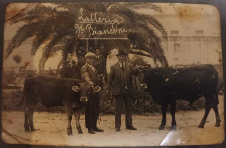 Andria, alle origini della burrata: «Quella forte nevicata che servì a mio nonno per inventarla»
