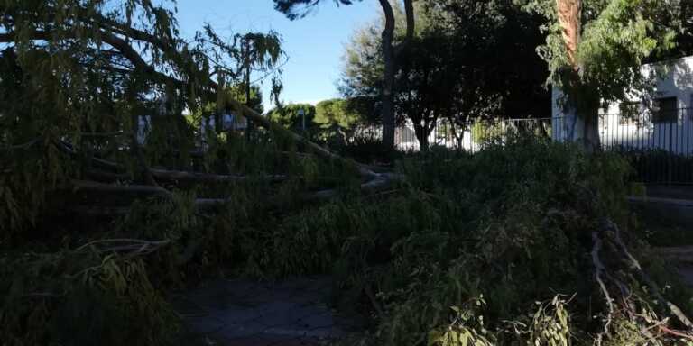 Galleria foto 'Maltempo in Puglia e Basilicata: neve nel Foggiano e nel Potentino. Danni da Bari a Lecce – FOTO' - foto 1