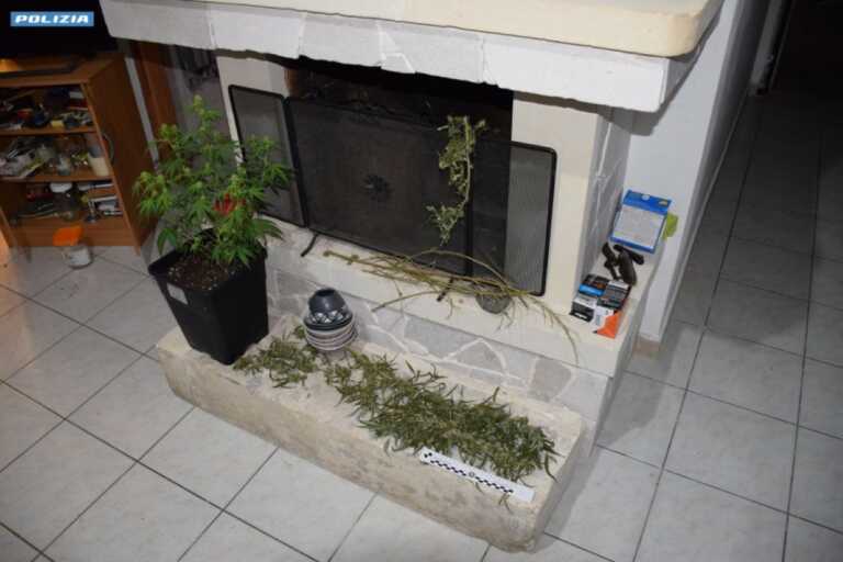 Una serra per la coltivazione di marijuana in casa: arrestato un 39enne di Copertino