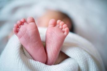 Galleria foto 'Neonato abbandonato dovrà tornare a madre naturale. Petizione dei genitori affidatari: “Dopo 3 anni un incubo”' - foto 1