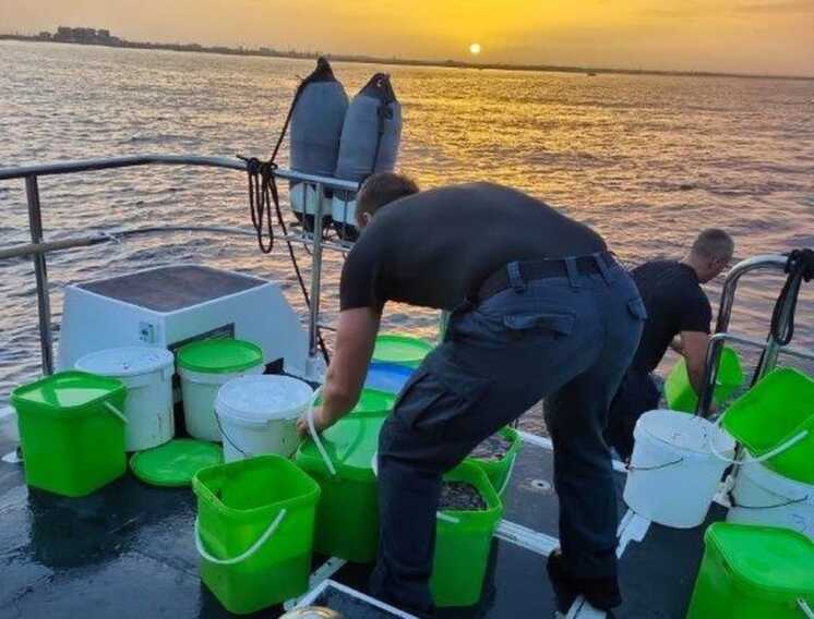 Una tonnellata di oloturie pescate illegalmente nel Brindisino: multa da 4.500 euro