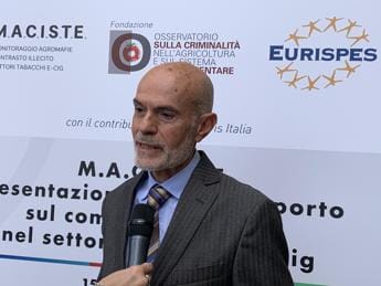 Galleria foto 'Ricozzi (Maciste): “Italia importante perché vigila su frontiera esterna dell’UE”' - foto 1