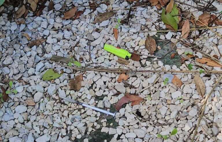 Brindisi, da polmone verde a ritrovo per eroinomani: il degrado al parco Di Giulio