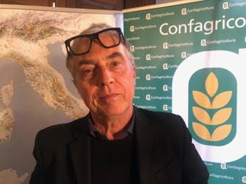 Galleria foto 'Sostenibilità, architetto Boeri: “Italia connette Paese attraverso capitale naturale”' - foto 1