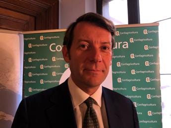 Galleria foto 'Sostenibilità, Busnelli (Amazon): “Noi primi finanziatori progetto Parco Italia”' - foto 1