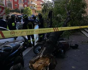 Galleria foto 'Uccisa da albero caduto a Roma, il legale: “Il Comune è civilmente responsabile”' - foto 1
