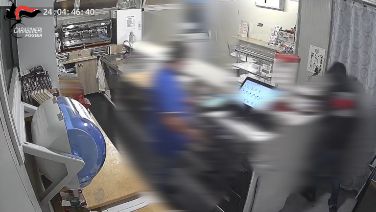 Minaccia con l’ascia e rapina 80 euro a San Nicandro Garganico: arrestato 20enne – VIDEO