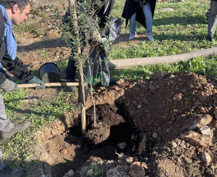 Andria: nasce un bosco per Vincenza Angrisano. La sorella: «Così il suo nome vive»