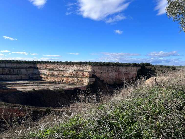 Bitonto, il Tar dice no alla discarica Ferlive. Ricci: «Splendida notizia»