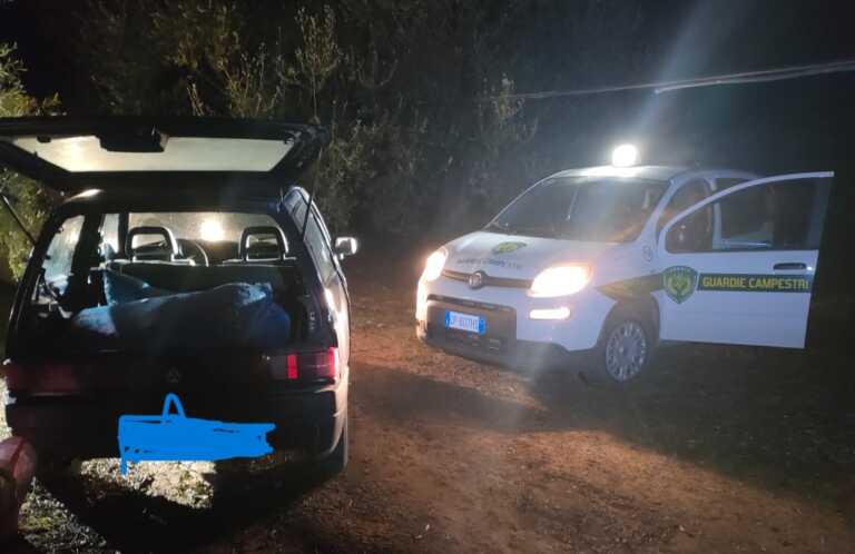 Con un’auto rubata tentato un furto di olive ad Andria: ladri messi in fuga