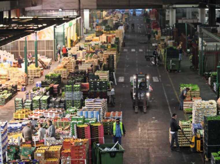 Le produzioni lucane al mercato ortofrutticolo di Milano: intesa per promuovere le prelibatezze locali