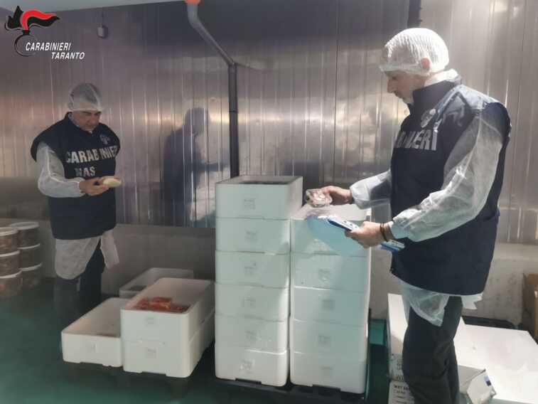 Pesce pregiato privo di tracciabilità nel Tarantino: sequestrati 650 chili di merce