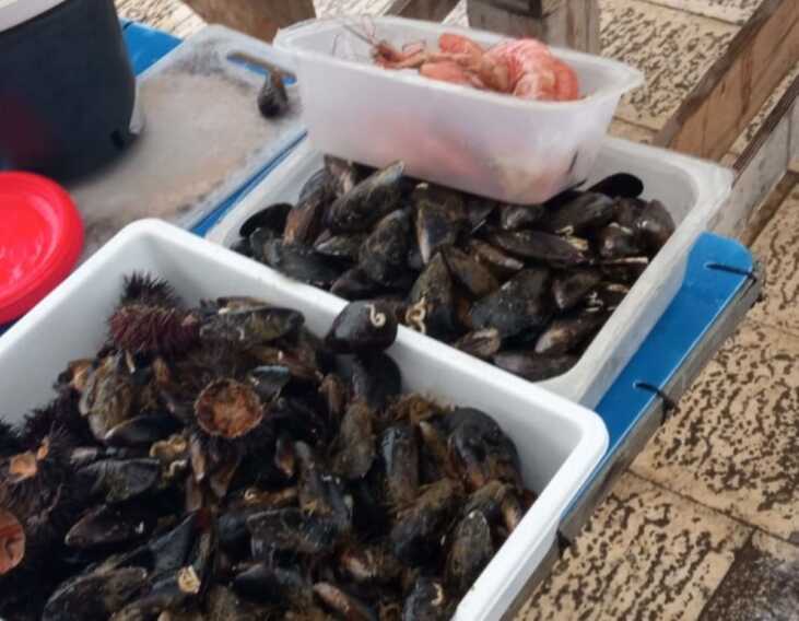 Galleria foto 'Bari, pesce venduto senza autorizzazione al molo San Nicola: due denunce' - foto 1