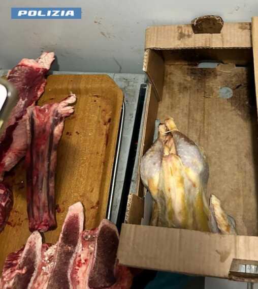 Taranto, sequestrati 250 chili di carne in decomposizione in vendita in un negozio del centro