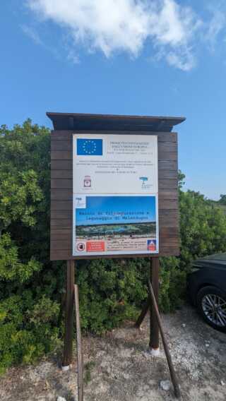 Galleria foto 'Tutela dell’acqua e sostenibilità ambientale: Aqp e Legambiente Puglia insieme anche nel 2024 – VIDEO' - foto 3