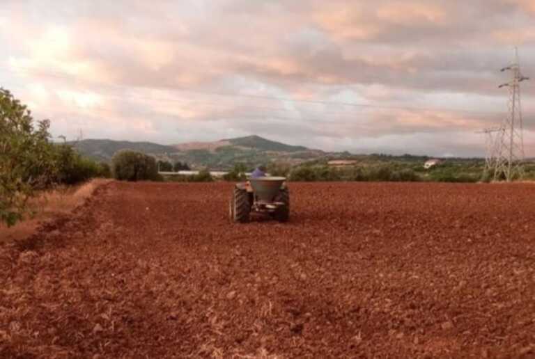 L’allarme degli agricoltori lucani: «Costi troppo alti, così torna il latifondo»