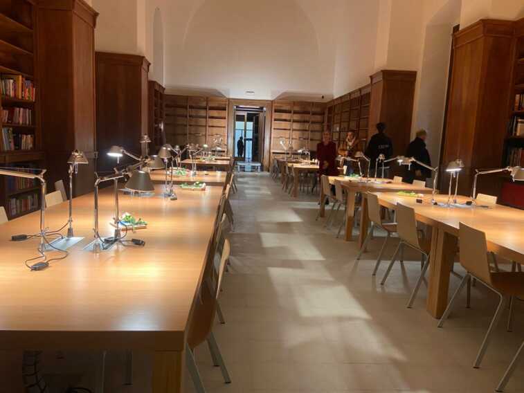 Galleria foto 'Via alle celebrazioni per i 100 anni dell’Università di Bari. Bronzini: «Pensiamo al futuro»' - foto 1