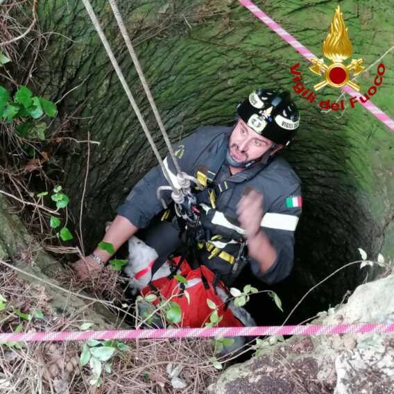 Galleria foto 'Un cane finisce in un pozzo nella marina di Santa Caterina a Nardò: salvato dai vigili del fuoco' - foto 1