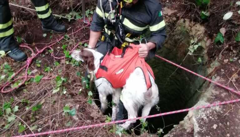Un cane finisce in un pozzo nella marina di Santa Caterina a Nardò: salvato dai vigili del fuoco