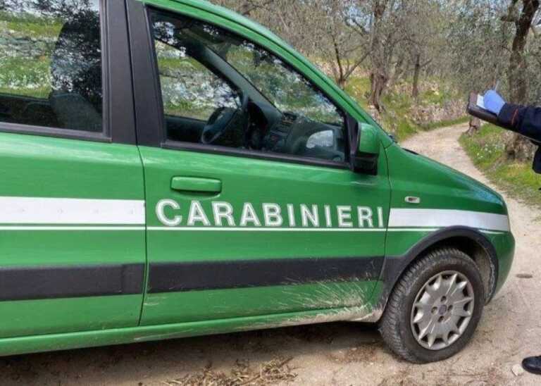 Scoperta un’autocarrozzeria abusiva a Monopoli: denunciato il responsabile. Multa da 5mila euro
