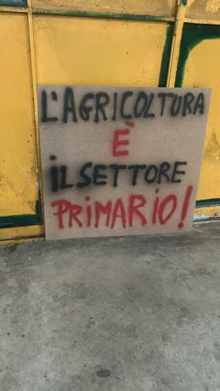 Galleria foto 'Protestano gli agricoltori di Capitanata: «Più tutele per il settore». Ricevuti in prefettura a Foggia' - foto 1