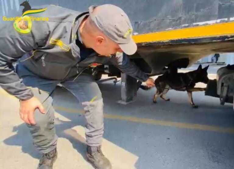 Bari, sequestrati più di 5 chili e mezzo di droga nel 2023 grazie al fiuto di Antrax, Kristina e gli altri – VIDEO
