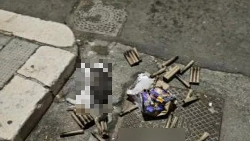 Barletta, gatto «massacrato» con i botti di Capodanno: individuati i colpevoli – VIDEO