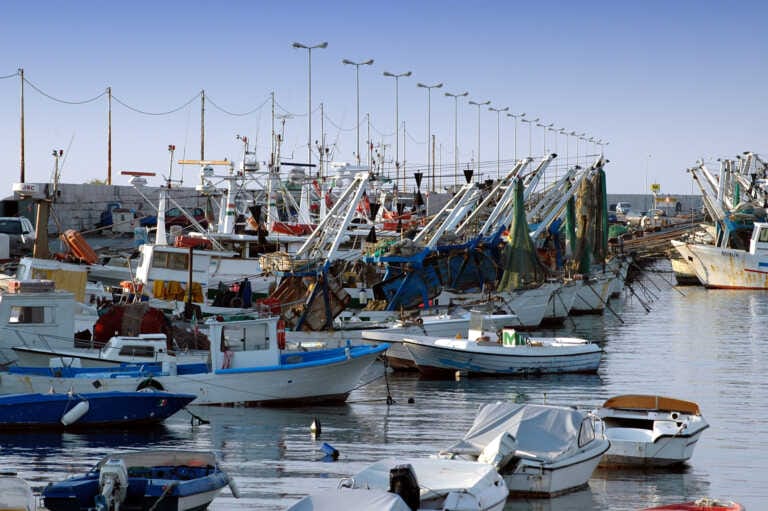 Interventi compensativi dai danni del granchio blu anche in provincia di Foggia