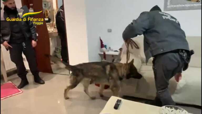 Droga tra Foggia e Orta Nova: arrestate 8 persone, tra loro esponenti della criminalità organizzata – VIDEO
