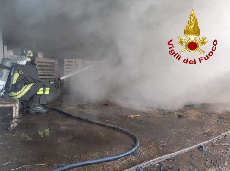 In fiamme un deposito di fieno a Taurisano: vigili del fuoco al lavoro dalle prime luci dell’alba – VIDEO