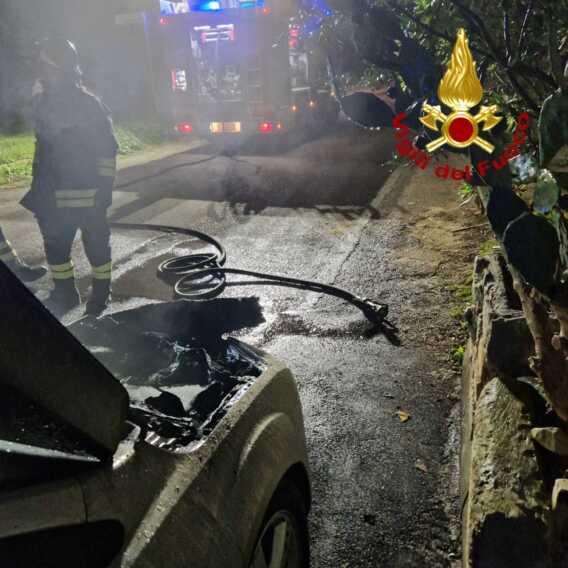 Galleria foto 'Due auto distrutte dalle fiamme a Lecce, danni per un’altra vettura: indagini in corso' - foto 1