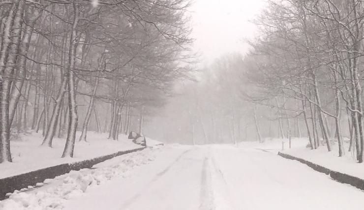 Imbiancata la Murgia, neve nel nord Barese: nessun disagio alla viabilità