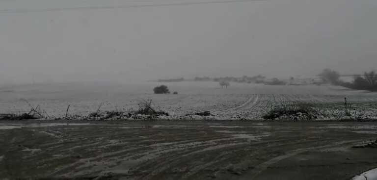 Galleria foto 'Neve e pioggia salvano la Puglia dalla siccità: negli invasi -37 mln di metri cubi d’acqua' - foto 1