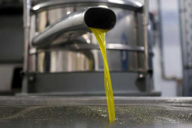 Annata da record per l’olio lucano: la stagione chiude segnando il +90%