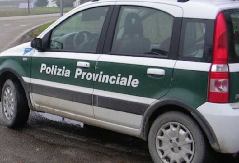 Foggia, rubate due auto dal comando della Polizia provinciale: danni ad altri mezzi e agli uffici