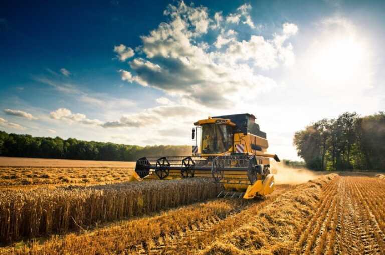 Taranto non è solo una fabbrica di acciaio. «Si riparta dall’agricoltura e dal turismo»